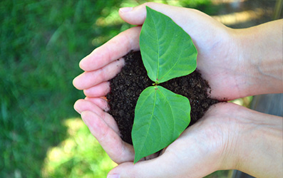 欧博abg - 官方网址登录入口